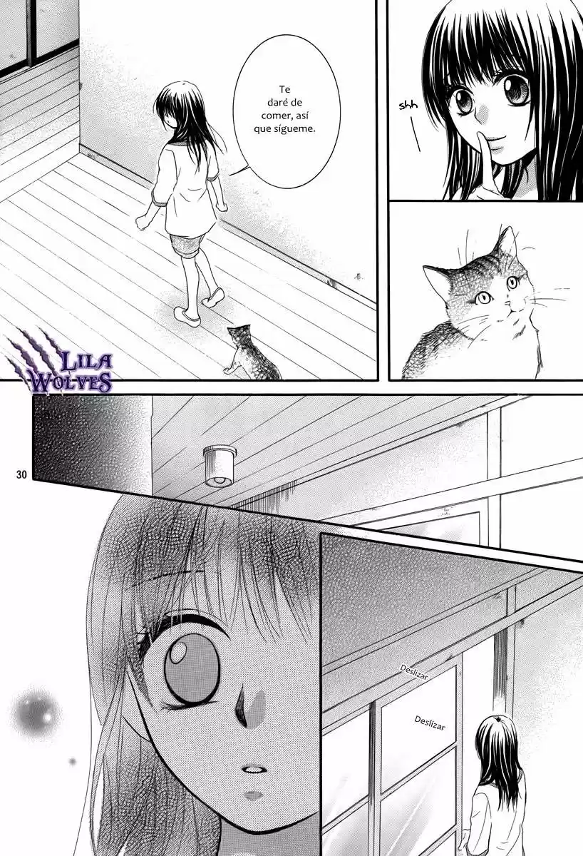Kore Wa Koi No Hanashi - Capítulo 20 - Página 32 - LectorTMOo