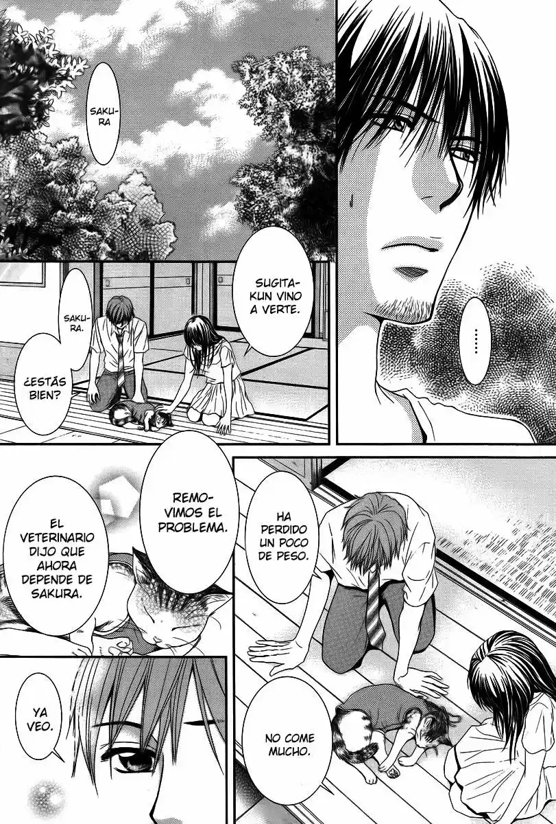 Kore Wa Koi No Hanashi - Capítulo 35 - Página 23 - LectorTMOo