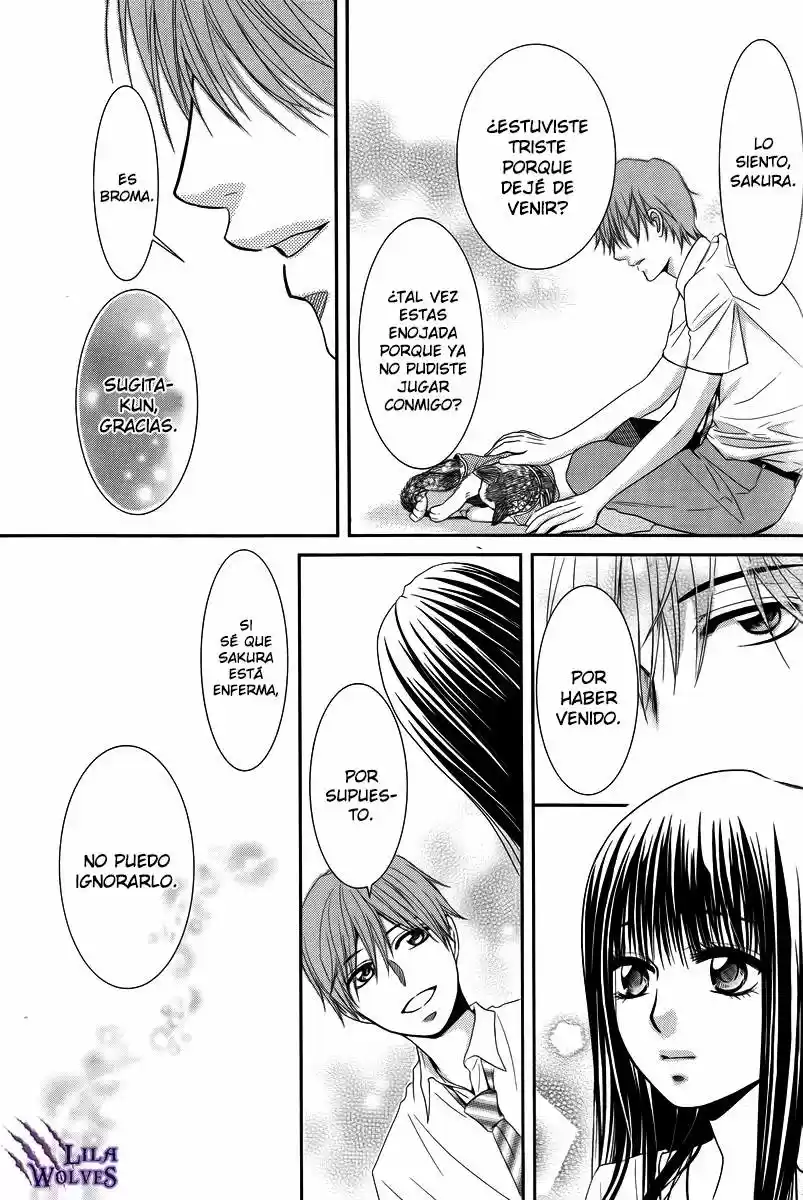 Kore Wa Koi No Hanashi - Capítulo 35 - Página 24 - LectorTMOo