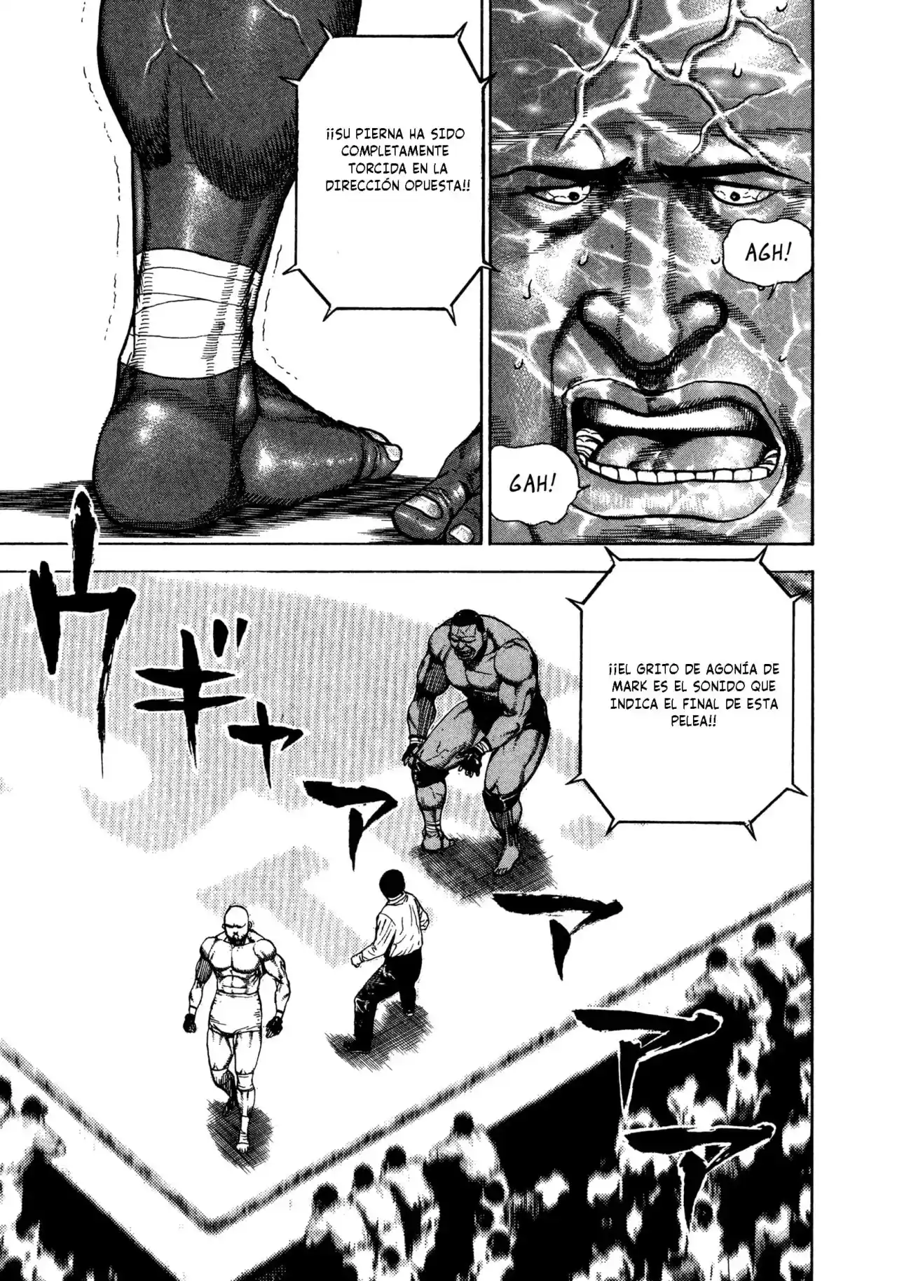 Koukou Tekken-den Tough - Capítulo 316 - Página 15 - LectorTMOo