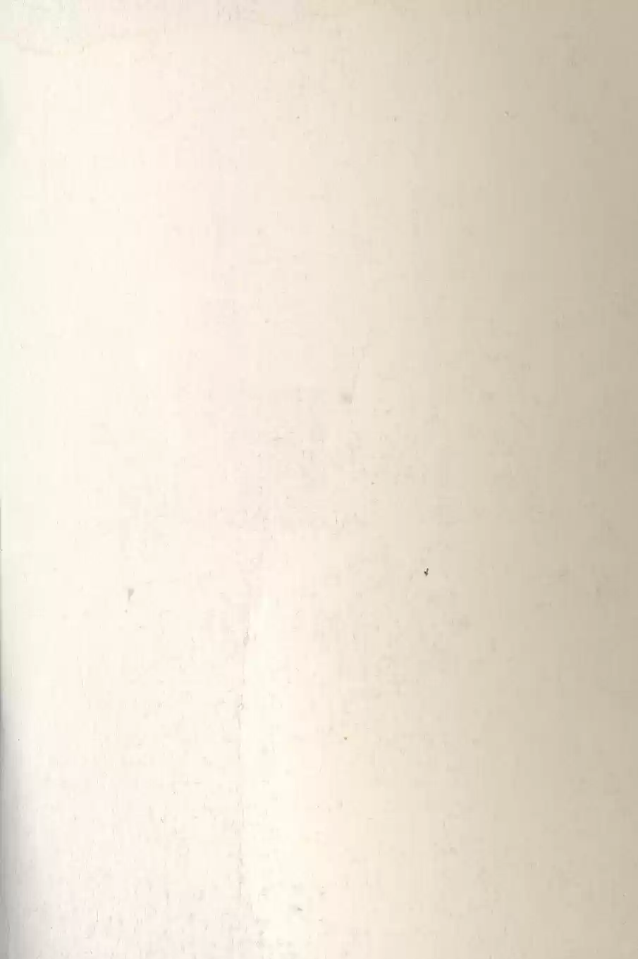 Kubikiri Asa - Capítulo 41 - Página 2 - LectorTMOo