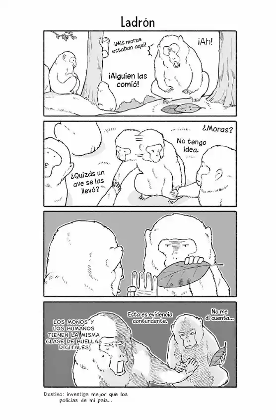 Kuma To Tanuki - Capítulo 20 - Página 2 - LectorTMOo