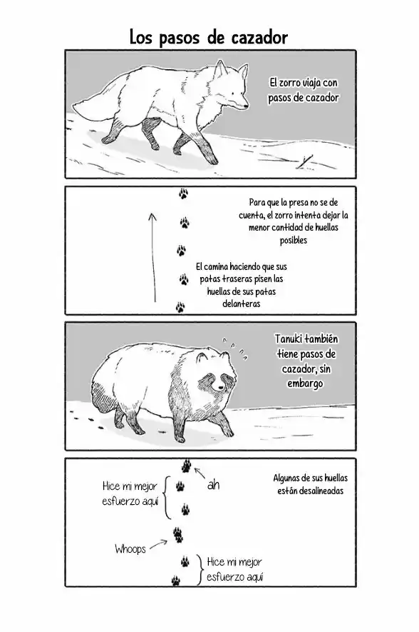 Kuma To Tanuki - Capítulo 3 - Página 2 - LectorTMOo