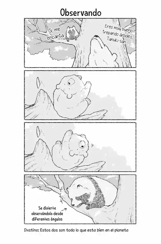 Kuma To Tanuki - Capítulo 36 - Página 2 - LectorTMOo