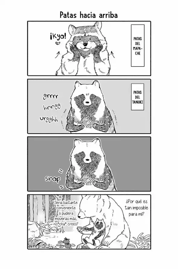 Kuma To Tanuki - Capítulo 50 - Página 11 - LectorTMOo