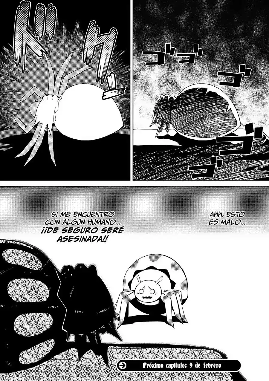 Kumo Desu Ga- Nani Ka? - Capítulo 1.1 - Página 24 - LectorTMOo