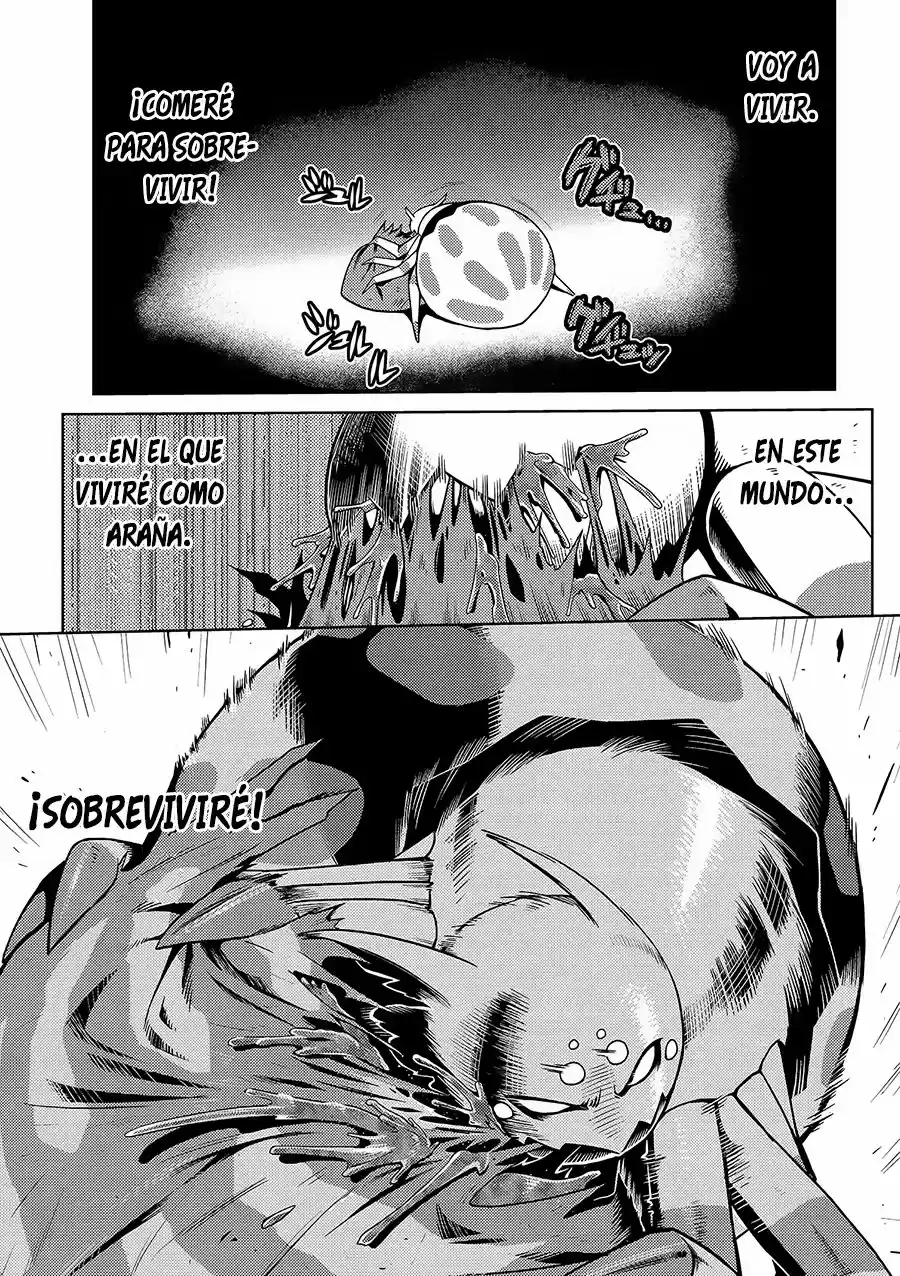Kumo Desu Ga- Nani Ka? - Capítulo 1.20 - Página 12 - LectorTMOo