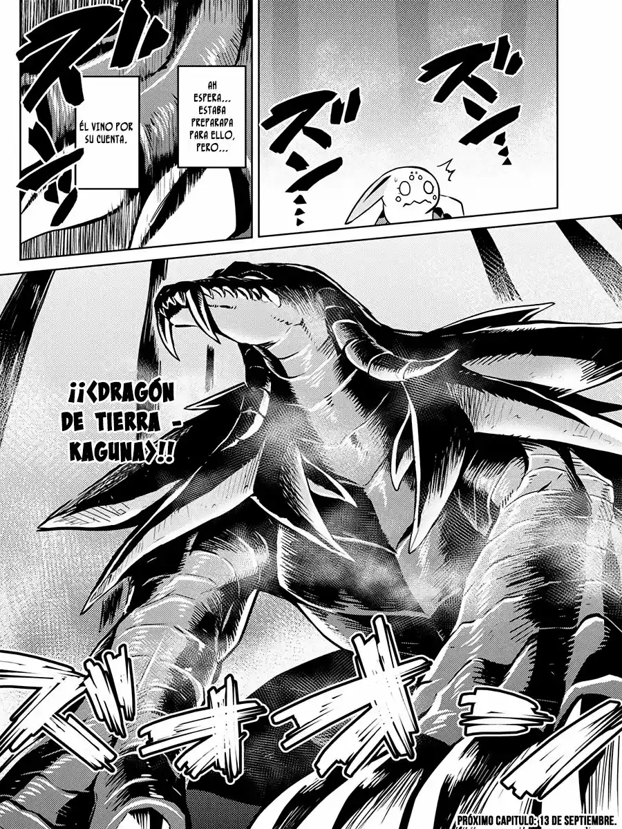 Kumo Desu Ga- Nani Ka? - Capítulo 30.10 - Página 17 - LectorTMOo