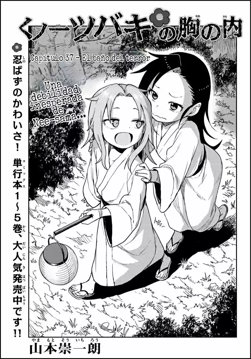 Kunoichi Tsubaki No Mune No Uchi - Capítulo 37 - Página 2 - LectorTMOo