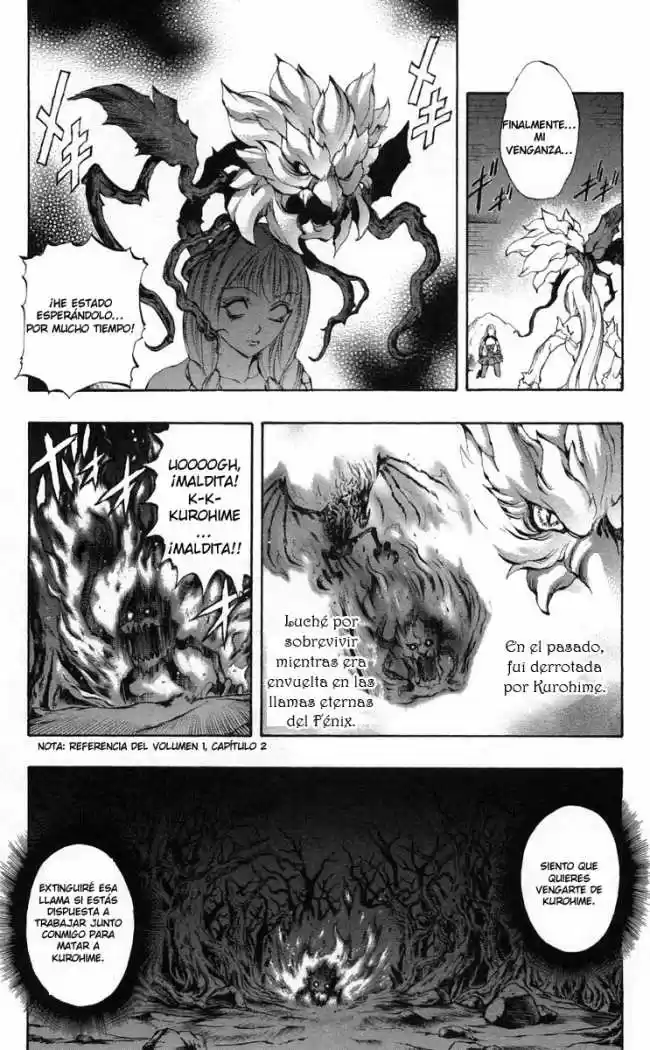 Kurohime - Capítulo 37 - Página 25 - LectorTMOo