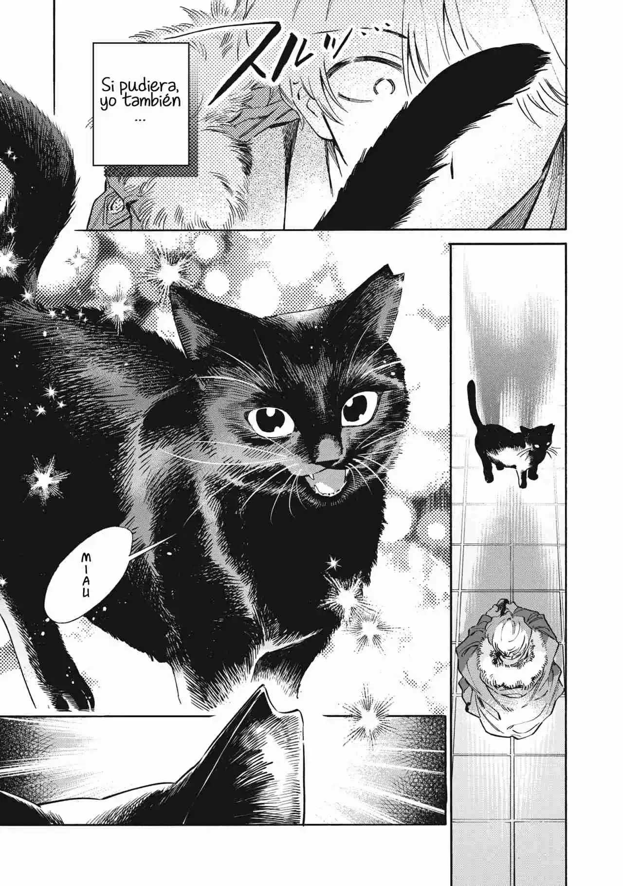Kurone-san Wa Nyaa To Nakanai - Capítulo 1 - Página 47 - LectorTMOo