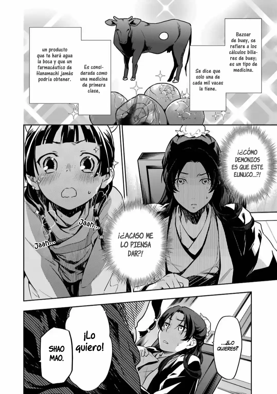 Kusuriya No Hitorigoto - Capítulo 31 - Página 17 - LectorTMOo
