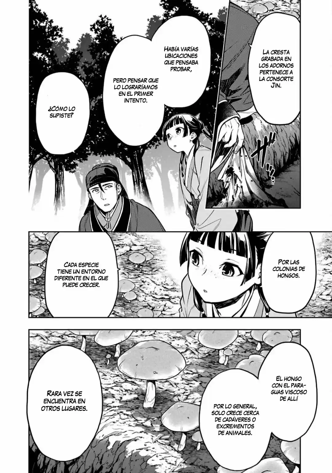 Kusuriya No Hitorigoto - Capítulo 45 - Página 17 - LectorTMOo