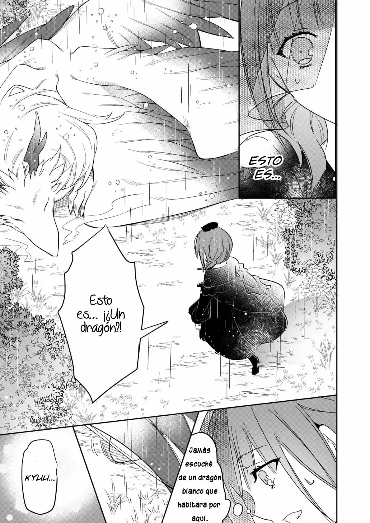 Kusushi No Hakushaku Reijou Wa Densetsu No Koryuu Ni Aisareru - Capítulo 1.20 - Página 6 - LectorTMOo
