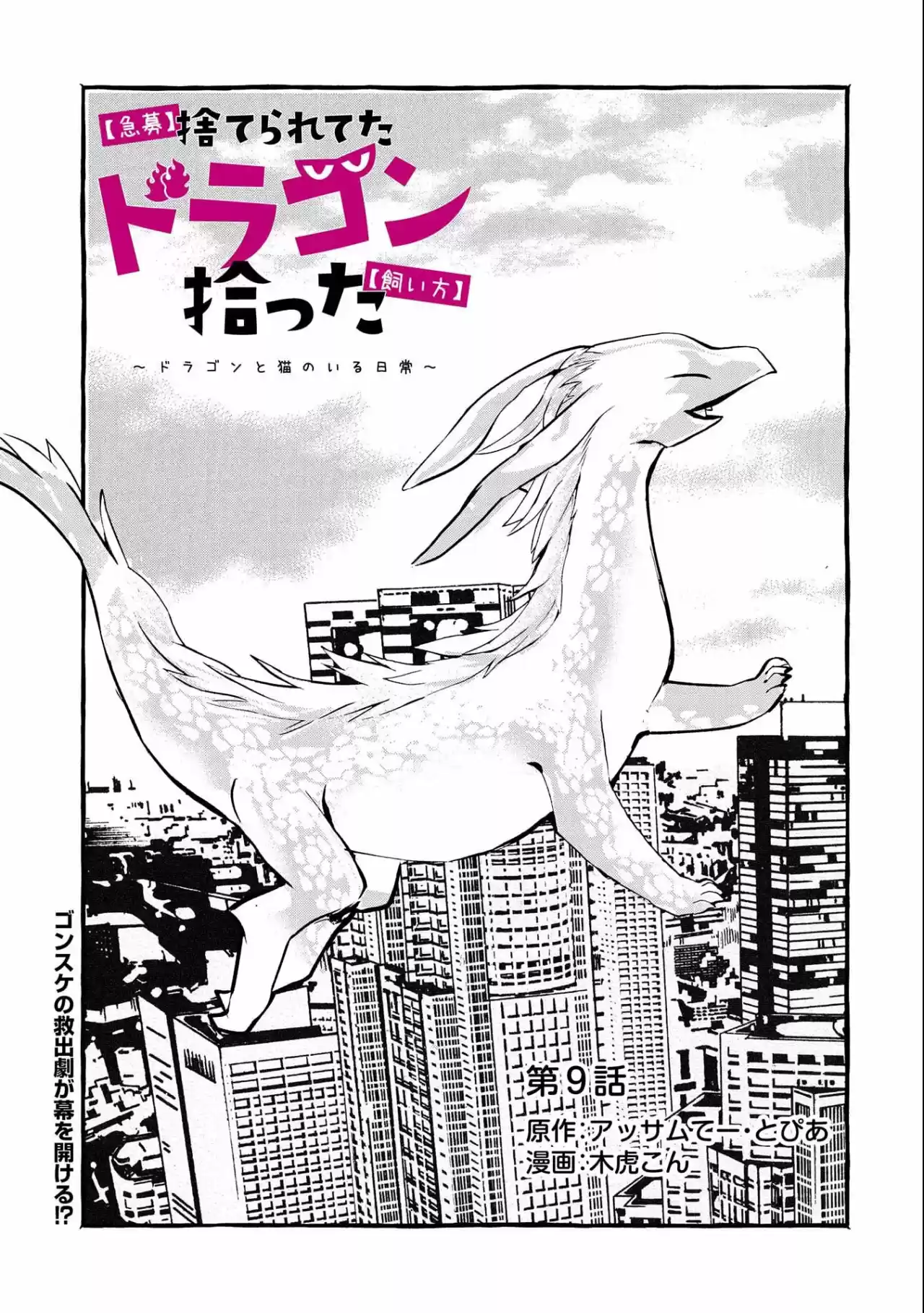 Kyuubo: Suterareteta Dragon Hirotta - Capítulo 9 - Página 2 - LectorTMOo