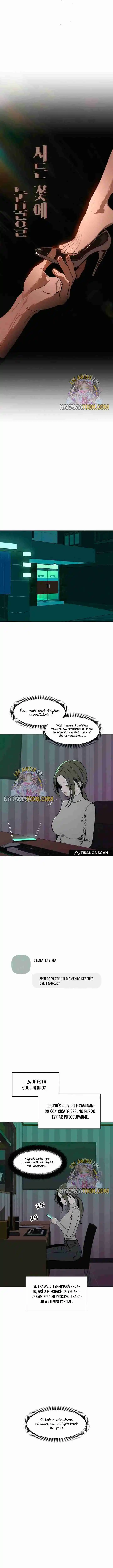 Lágrimas Sobre Una Flor Que Está Marchita - Capítulo 10 - Página 16 - LectorTMOo