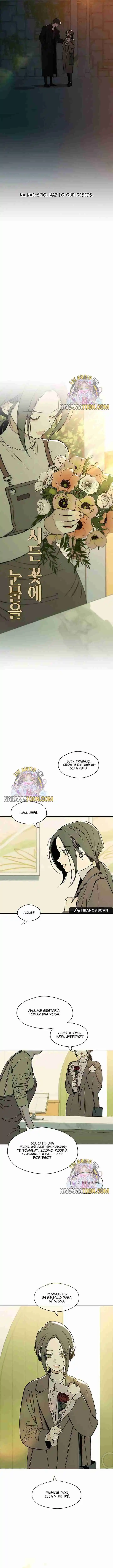 Lágrimas Sobre Una Flor Que Está Marchita - Capítulo 11 - Página 12 - LectorTMOo