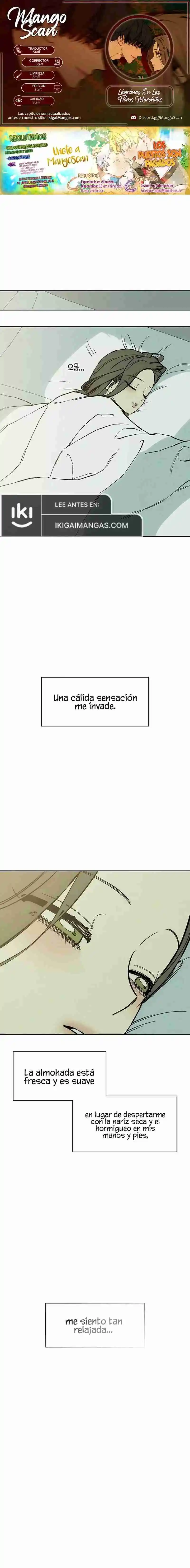 Lágrimas Sobre Una Flor Que Está Marchita - Capítulo 32 - Página 1 - LectorTMOo