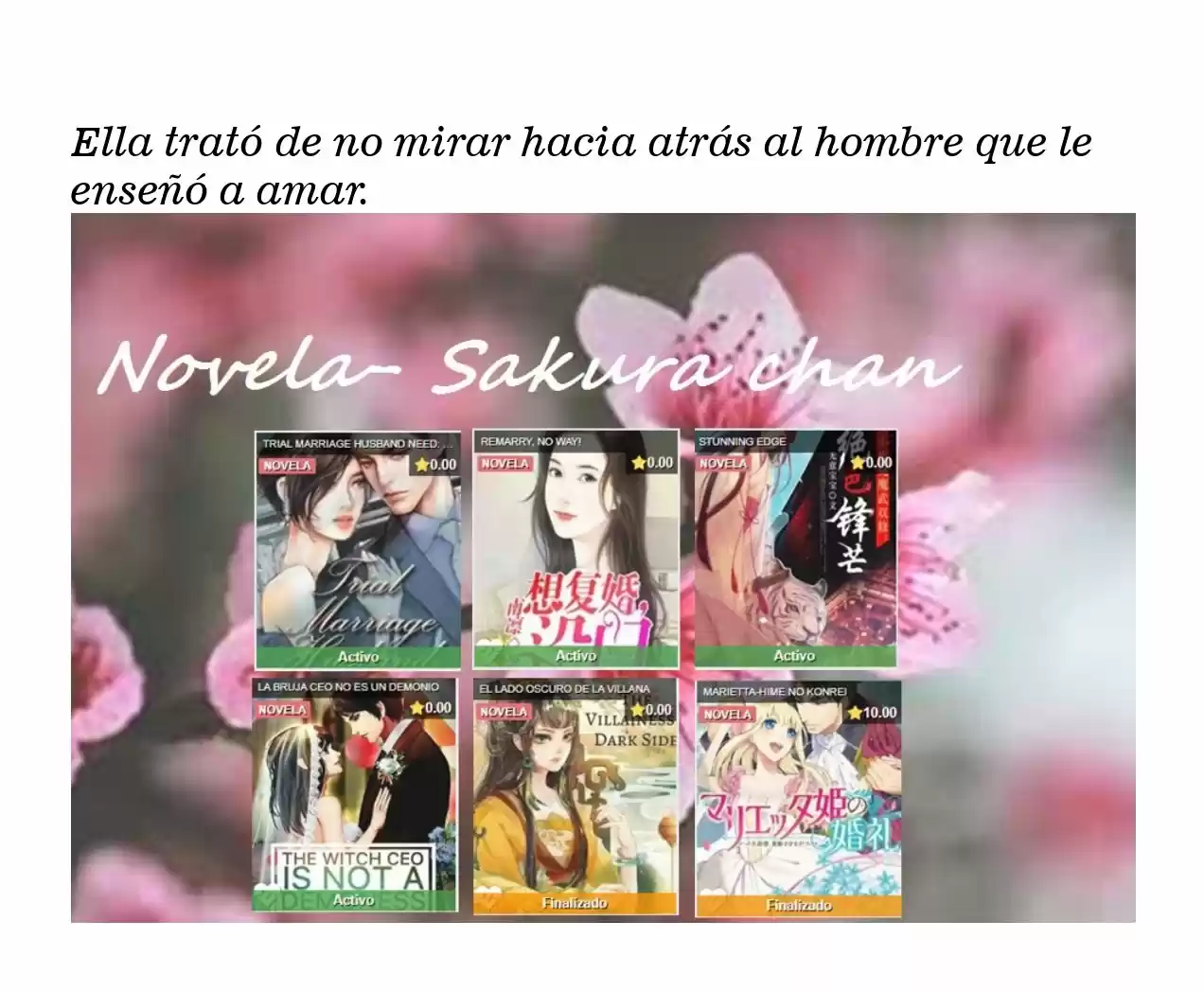 La Bruja CEO No Es Un Demonio (Novela) - Capítulo 27 - Página 9 - LectorTMOo