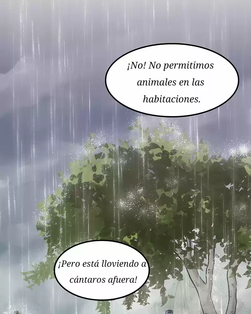 La Bruja Y El Toro - Capítulo 11 - Página 63 - LectorTMOo