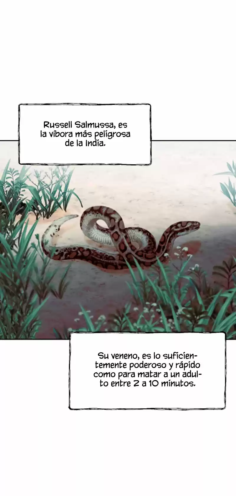 La Calavera Y Un Romance En El Armario - Capítulo 9 - Página 15 - LectorTMOo
