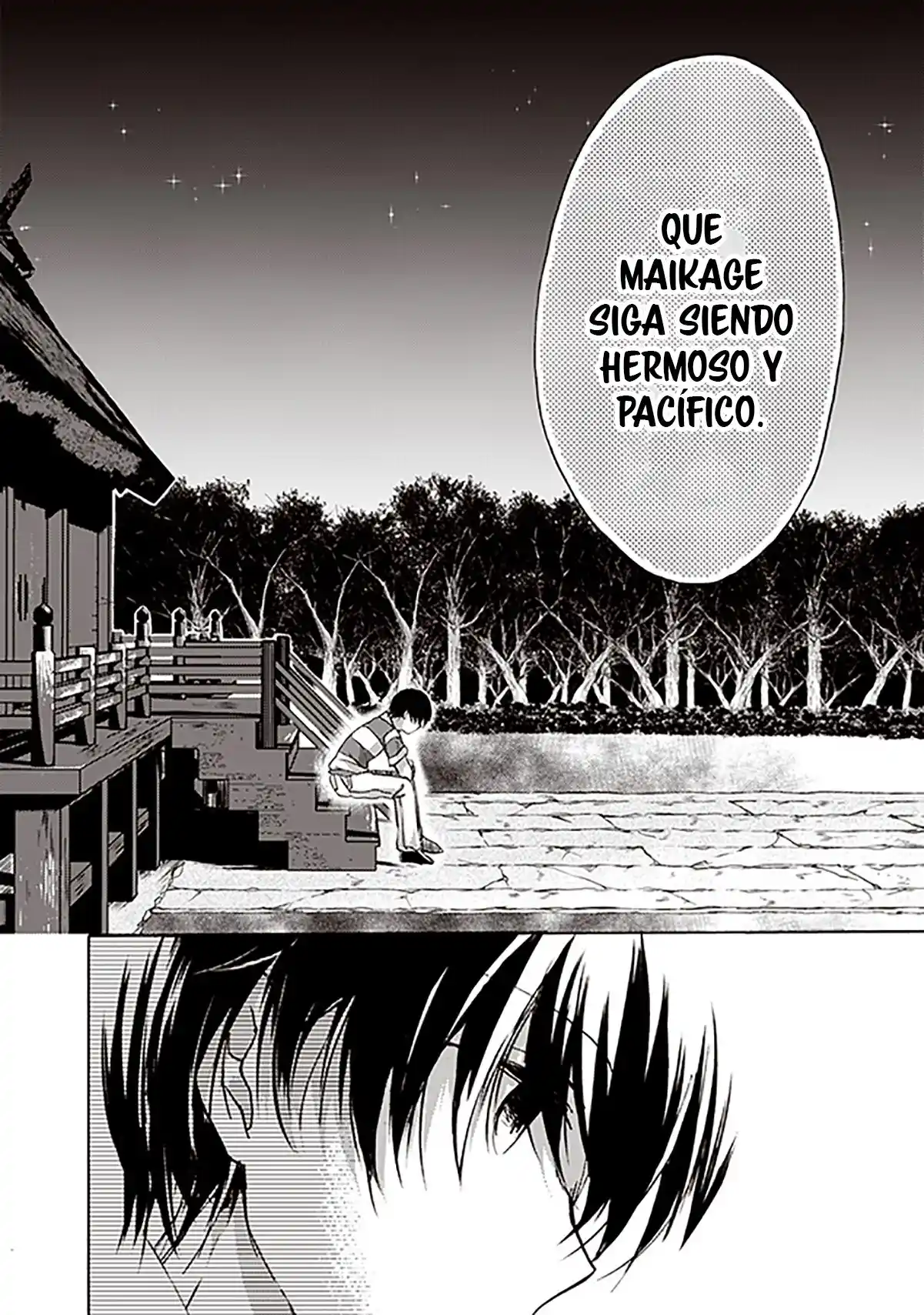 La Canción Gris - Capítulo 10 - Página 5 - LectorTMOo