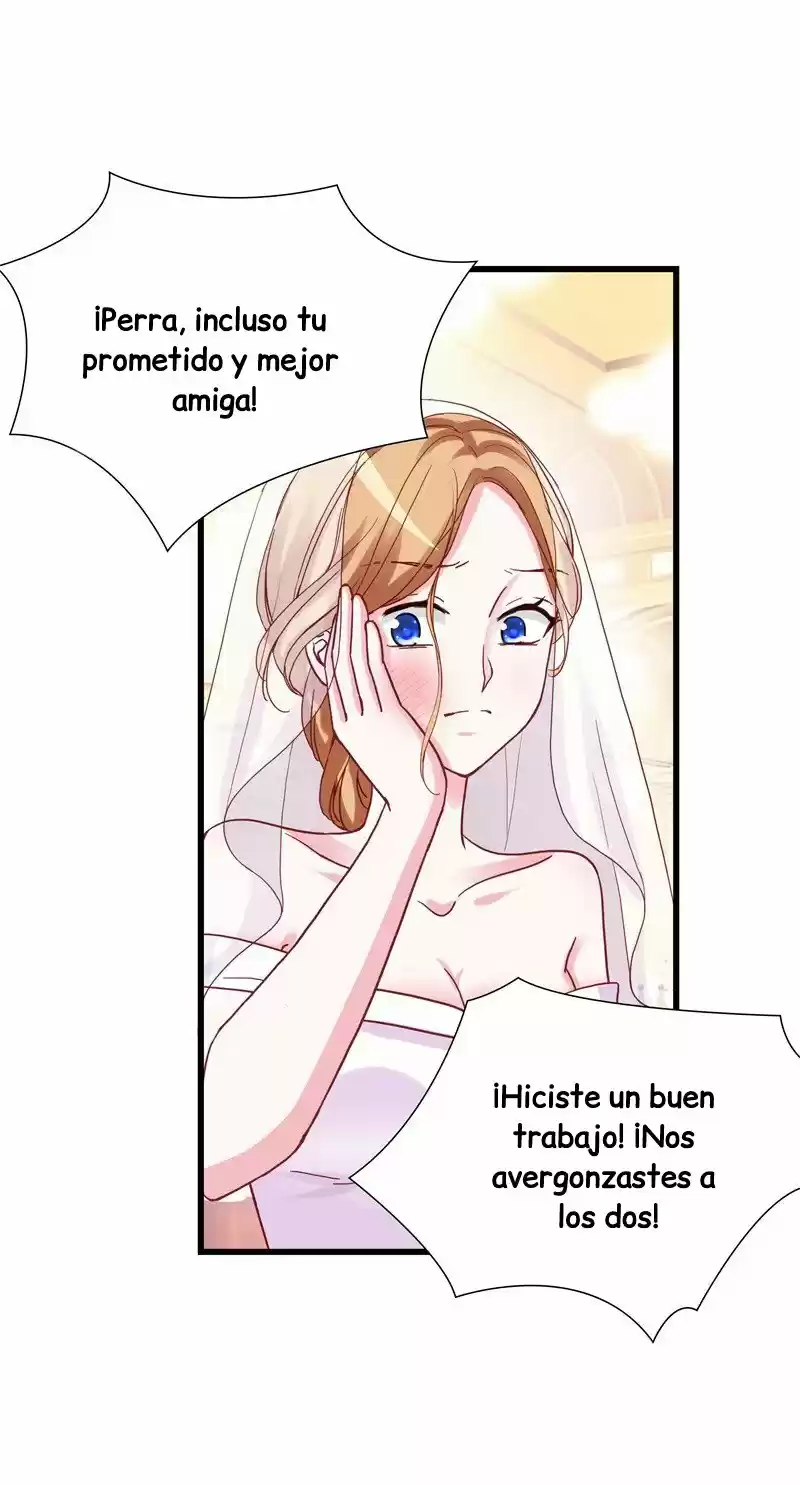 La Cariñosa Esposa De Di Shaotian: Amor De Un Quilate - Capítulo 3 - Página 25 - LectorTMOo