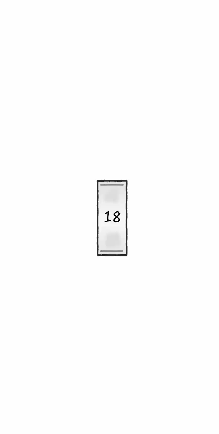 La Concubina Ataca - Capítulo 18 - Página 27 - LectorTMOo
