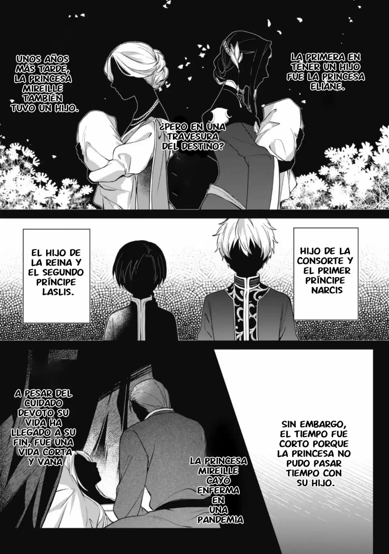 La Dama No Se Da Cuenta De Los Sentimientos Del Joven Príncipe - Capítulo 3 - Página 13 - LectorTMOo