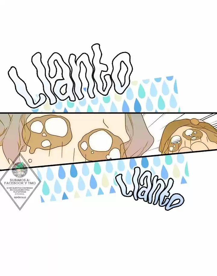 LA DAMA SECRETA - Capítulo 23 - Página 15 - LectorTMOo
