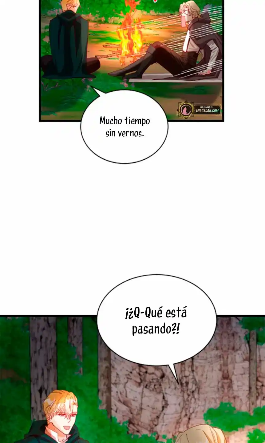 La Doble Vida De La Condesa - Capítulo 11 - Página 37 - LectorTMOo