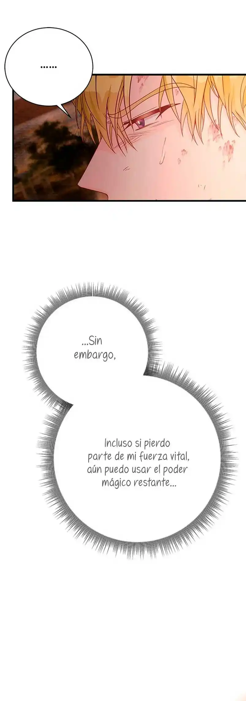 La Doble Vida De La Condesa - Capítulo 40 - Página 10 - LectorTMOo