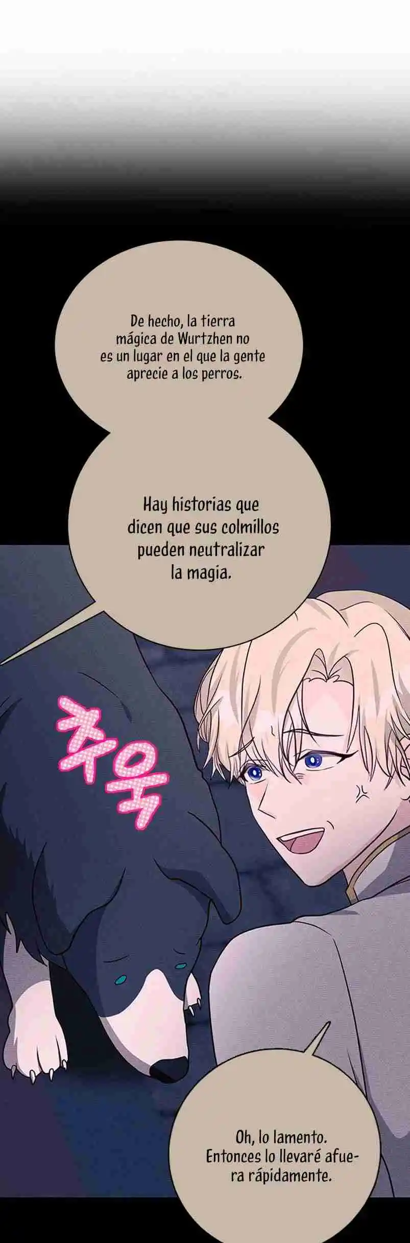 La Doble Vida De La Condesa - Capítulo 53 - Página 19 - LectorTMOo