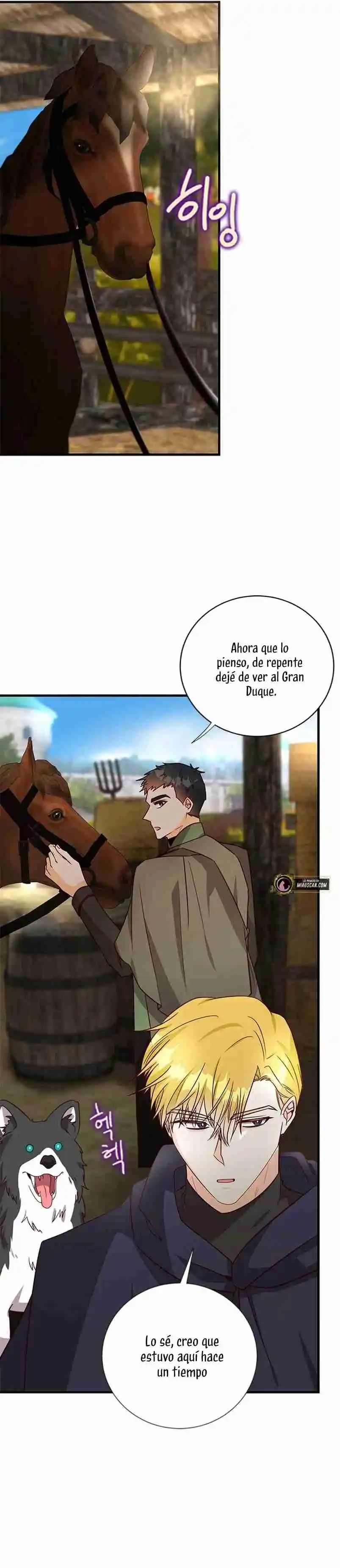 La Doble Vida De La Condesa - Capítulo 57 - Página 17 - LectorTMOo