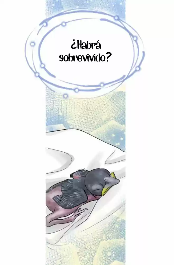 La Emperatriz De Las Flores - Capítulo 14 - Página 34 - LectorTMOo