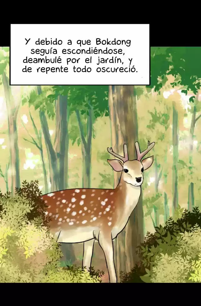 La Emperatriz De Las Flores - Capítulo 66 - Página 19 - LectorTMOo