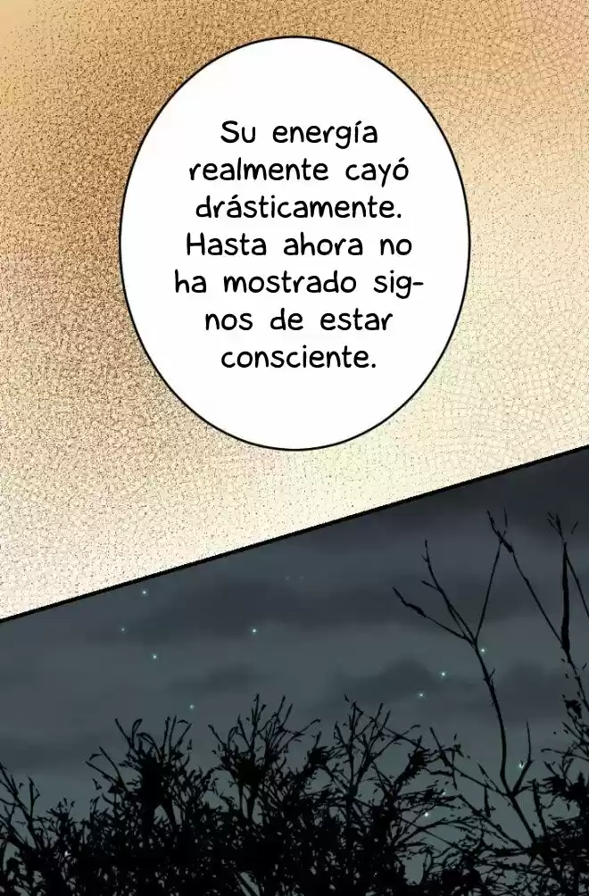 La Emperatriz De Las Flores - Capítulo 67 - Página 15 - LectorTMOo
