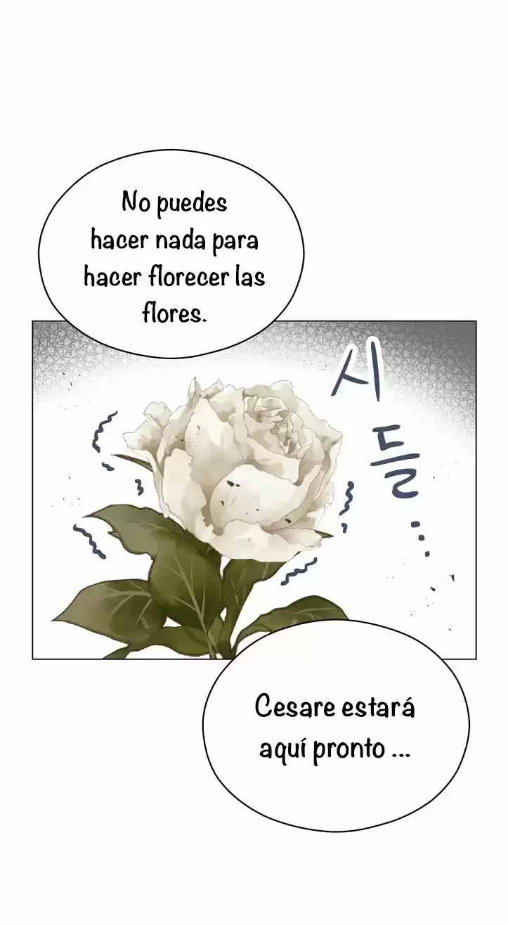 La Estética Del Villano - Capítulo 24 - Página 35 - LectorTMOo
