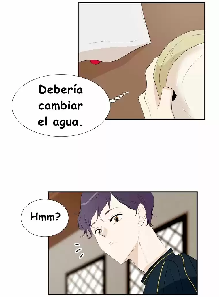 La Fierecilla Domada - Capítulo 16 - Página 28 - LectorTMOo