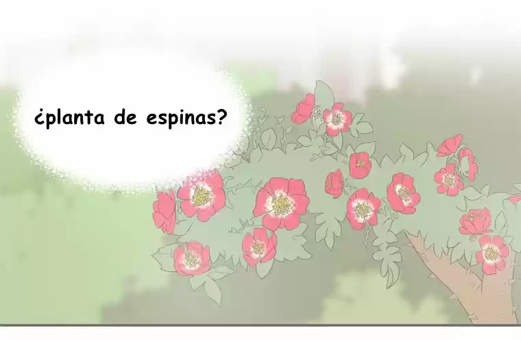 La Fierecilla Domada - Capítulo 16 - Página 33 - LectorTMOo