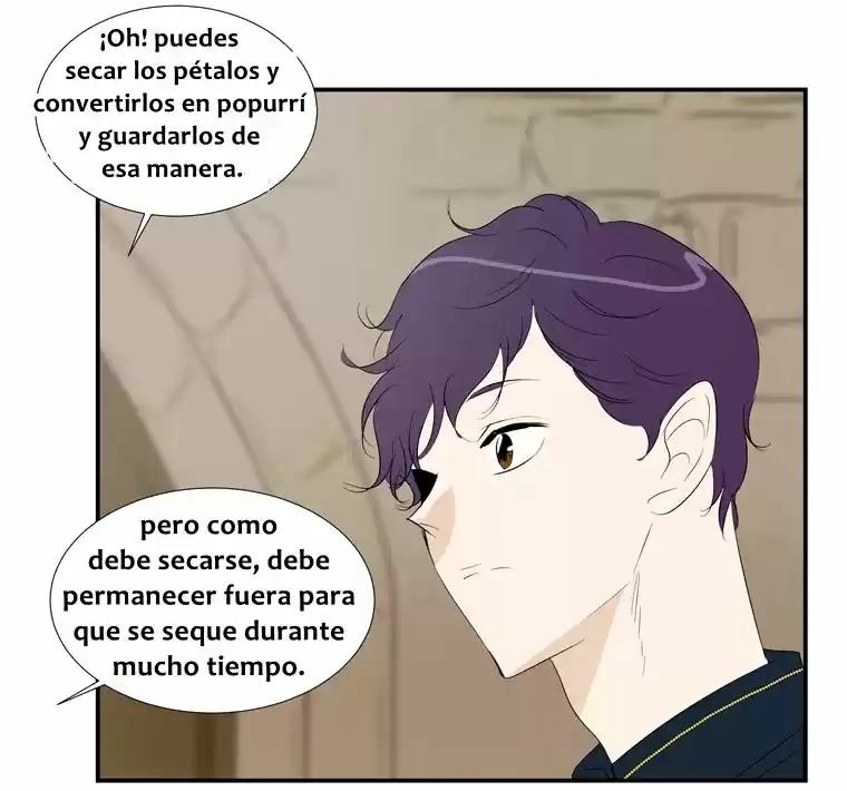 La Fierecilla Domada - Capítulo 16 - Página 42 - LectorTMOo