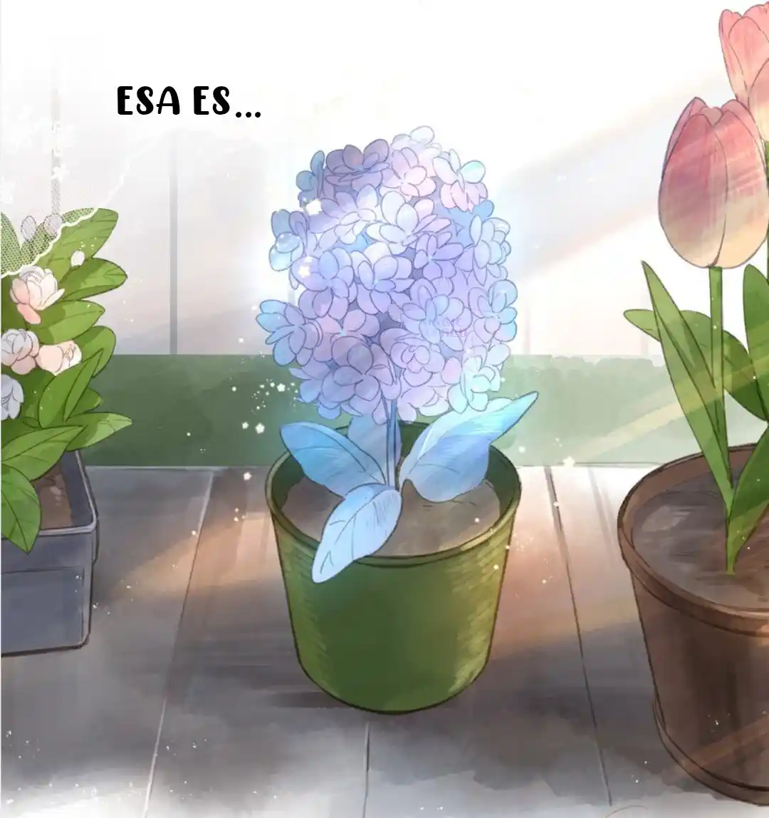 La Florería De La Esquina - Capítulo 2 - Página 32 - LectorTMOo