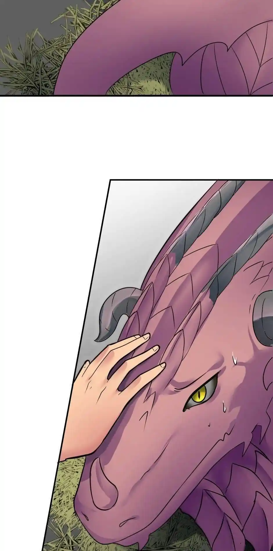 LA FUTURA ESPOSA DEL PRÍNCIPE DRAGÓN - Capítulo 74 - Página 33 - LectorTMOo