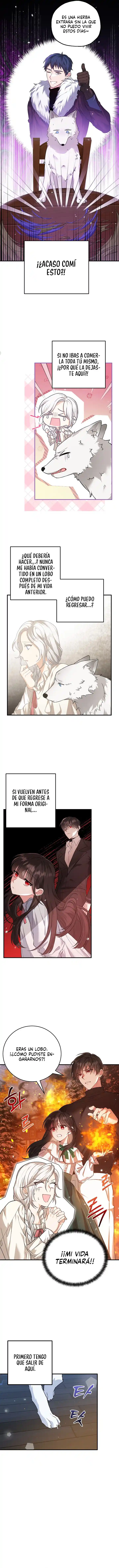 La Heroína Quiere Que Sea La Esposa De Su Hermano - Capítulo 20 - Página 6 - LectorTMOo