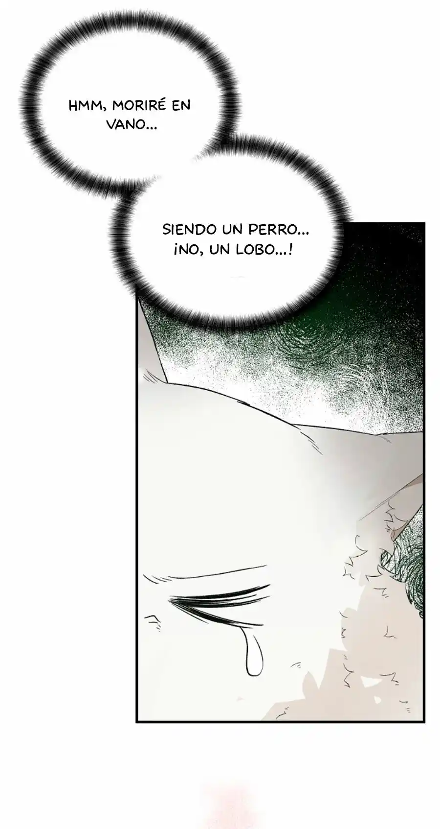 La Heroína Quiere Que Sea La Esposa De Su Hermano - Capítulo 21 - Página 33 - LectorTMOo