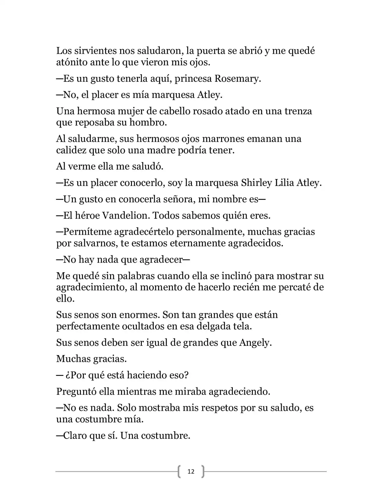 La Heroica Aventura Del Héroe Negro (Novela) - Capítulo 12 - Página 12 - LectorTMOo