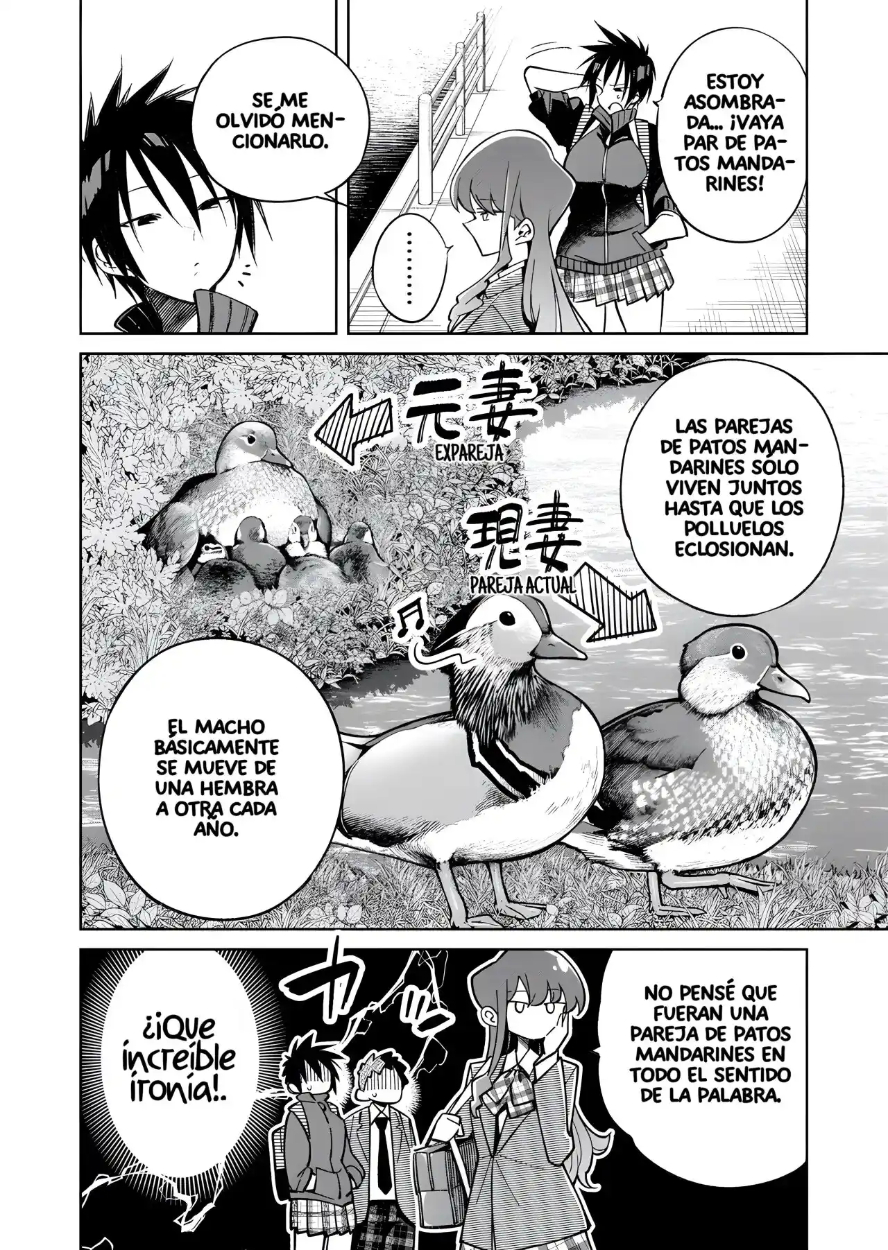La Historia De Una Chica Genial Que Decidió Confesarse (A Story About Being Confessed By A Cool Girl) - Capítulo 5 - Página 5 - LectorTMOo