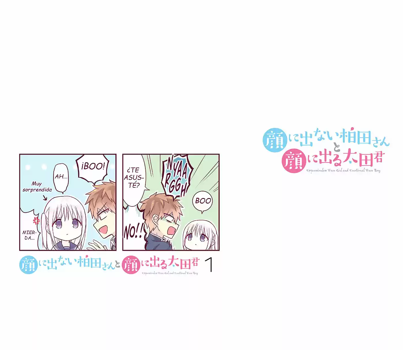 La Inexpresiva Kashiwada-san Y El Emotivo Oota-kun | La Chica Inexpresiva Y El Chico Emocional capítulo 13.50 página 11