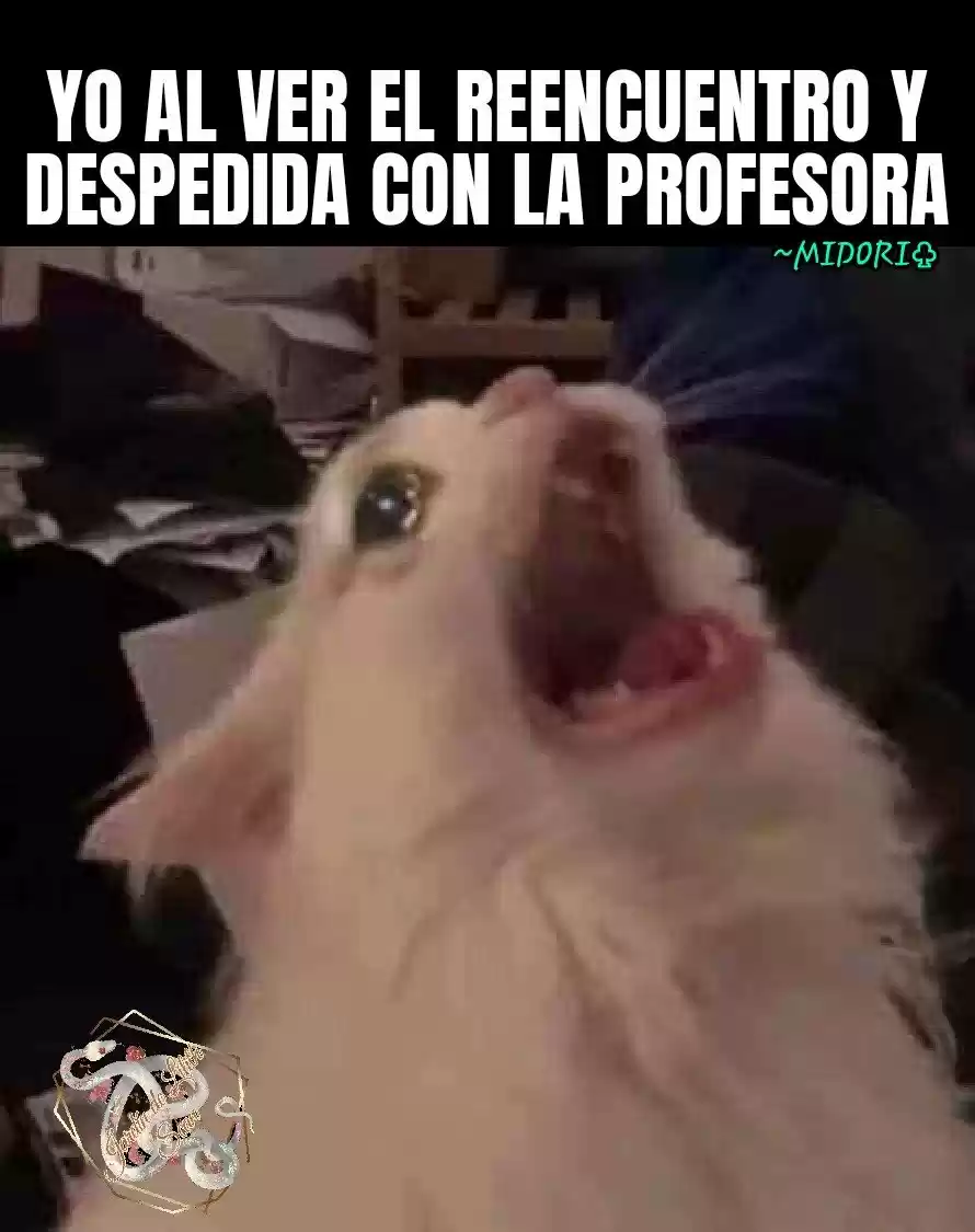 La Joven Chef Royal - Capítulo 36 - Página 96 - LectorTMOo