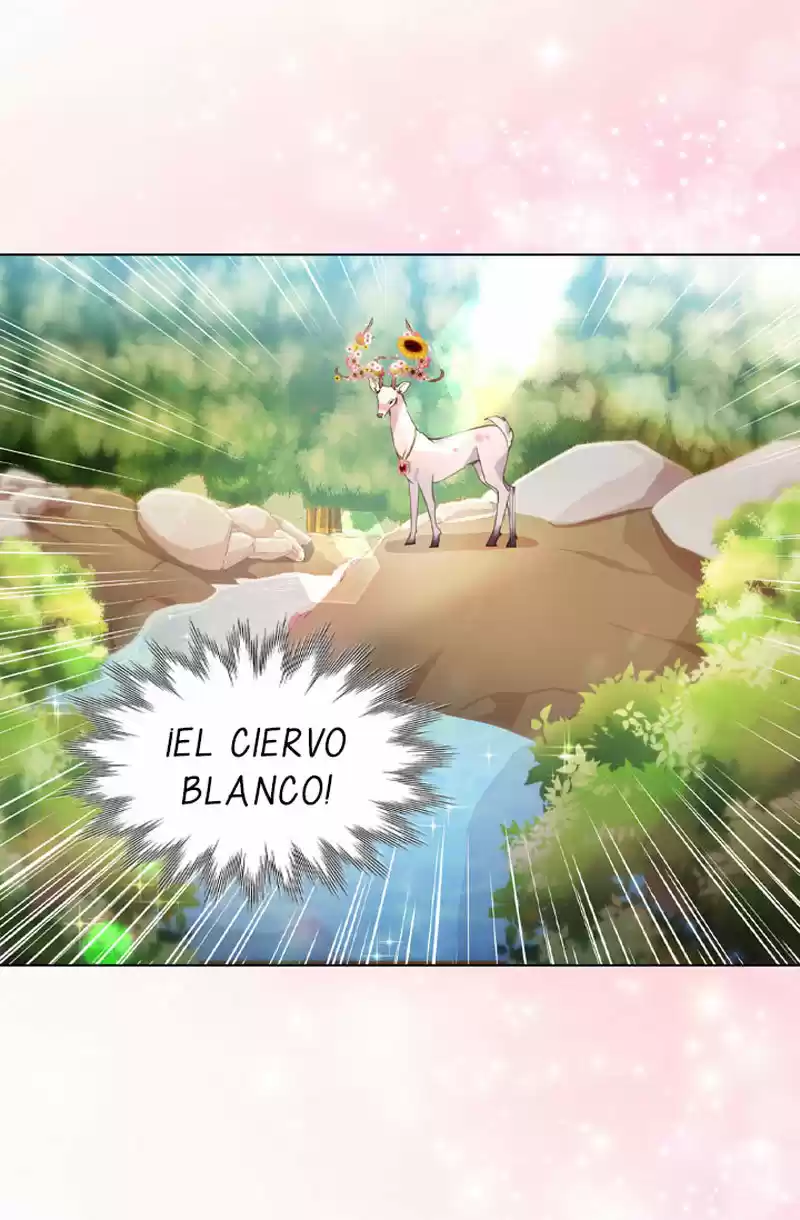 La Ley De Supervivencia De La Señorita - Capítulo 15 - Página 24 - LectorTMOo